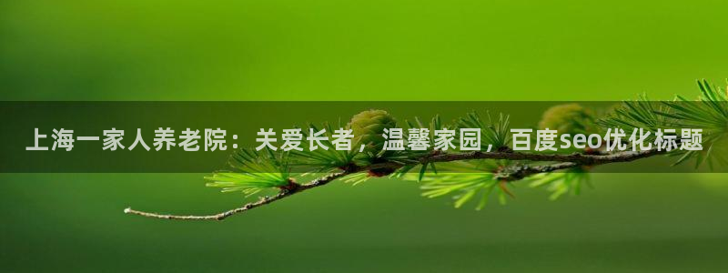 韦德的游戏