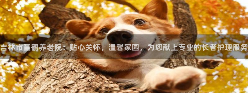 韦德官方网址大全