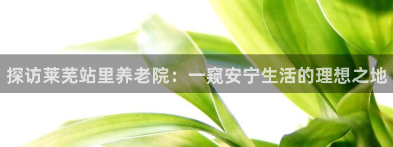 韦德 网站