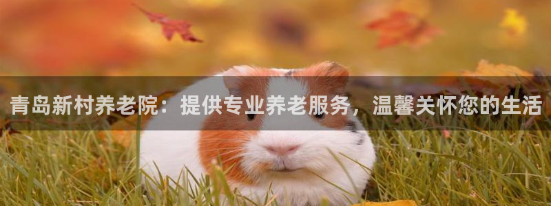 韦德com