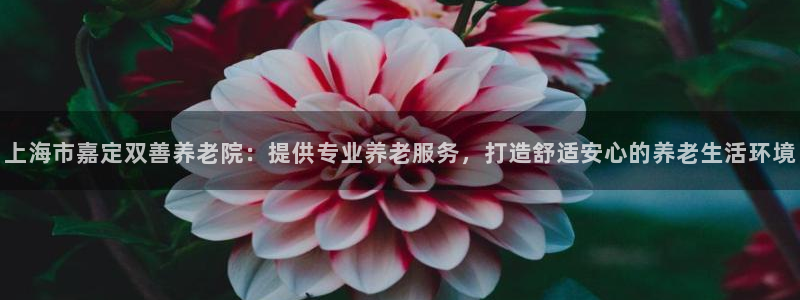 1946韦德官网