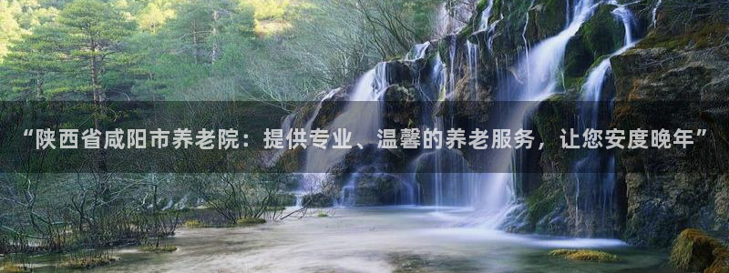 韦德网站是多少
