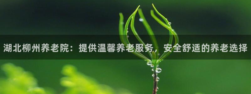 1946韦德官方网站