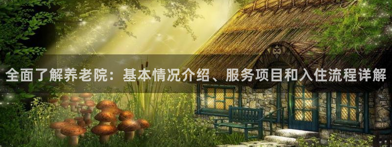 韦德官方网址