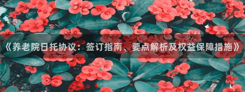 韦德1946手机版