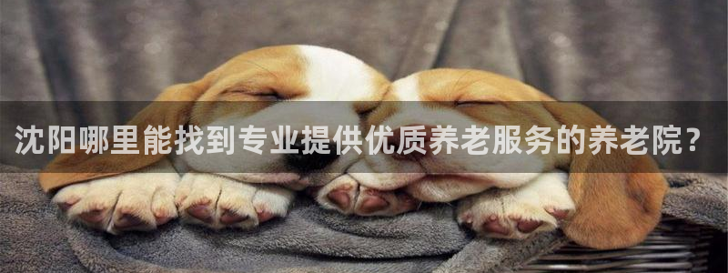 韦德官方下载