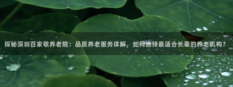 1946韦德官方网站
