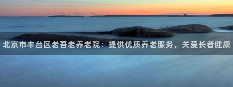 韦德观战总决赛G3
