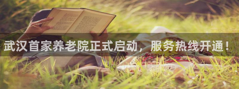 韦德游戏是什么