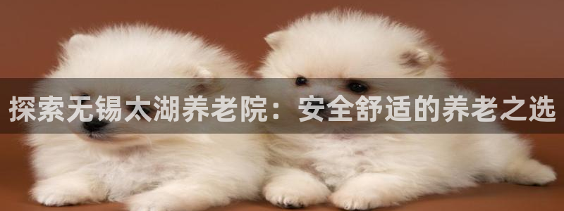韦德下载