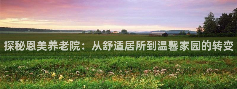 韦德1946国际