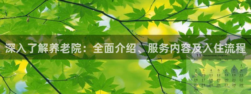 韦德2016