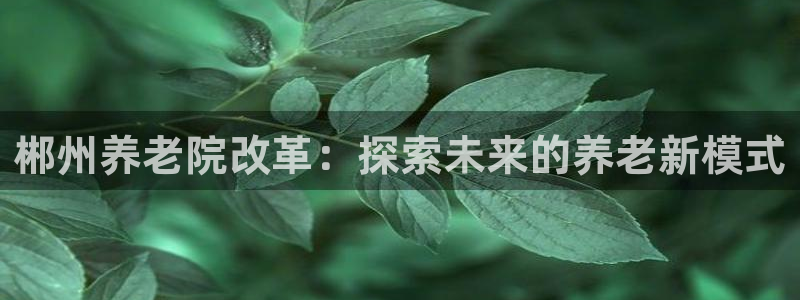 韦德网址