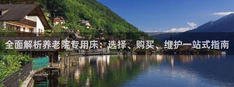 韦德 网站
