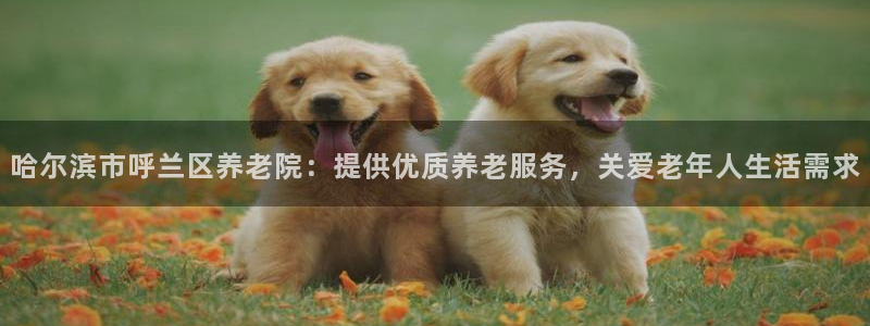 韦德国际体育
