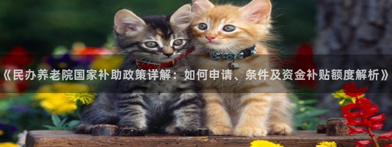 韦德1946官网