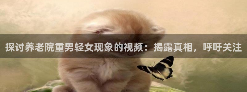 韦德1946娱乐