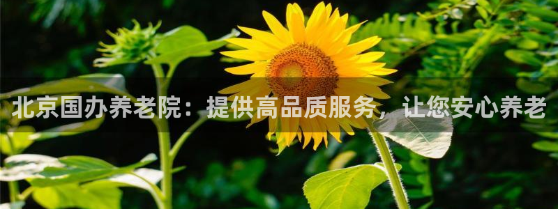 韦德app官方网站