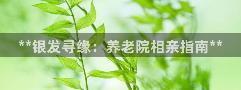 韦德 1946