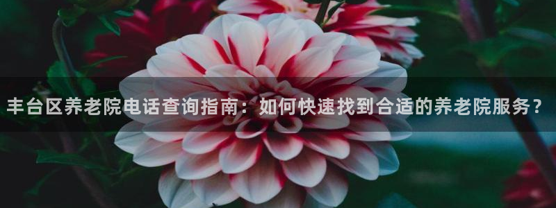 韦德合集