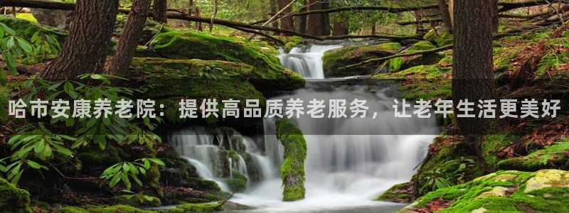韦德1946博客