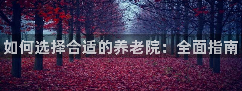 韦德 官网