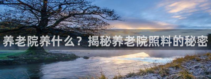 韦德网站是多少