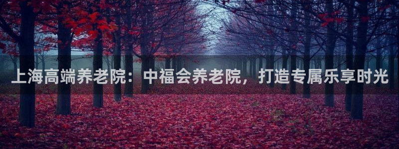 韦德游戏是什么