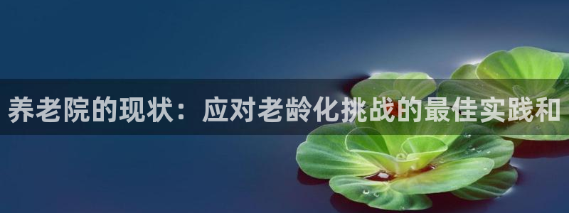 韦德的游戏
