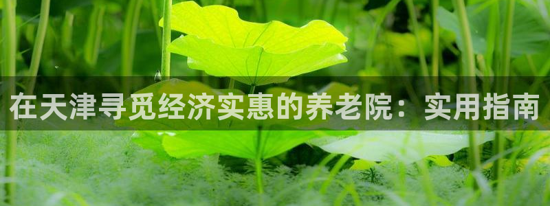 韦德1946下载