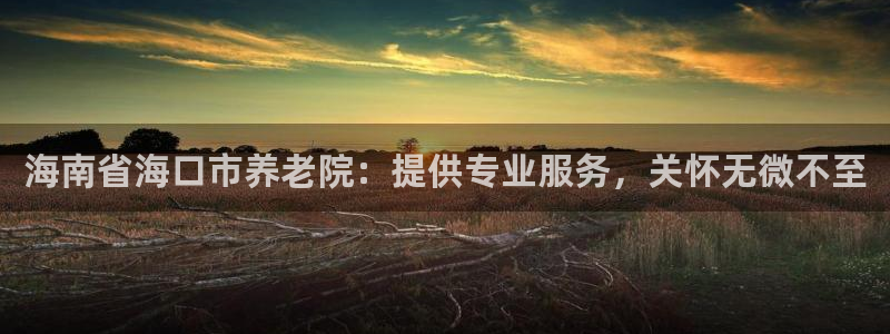 韦德是哪个