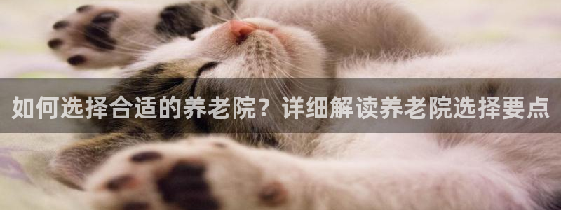 1946韦德官方网站