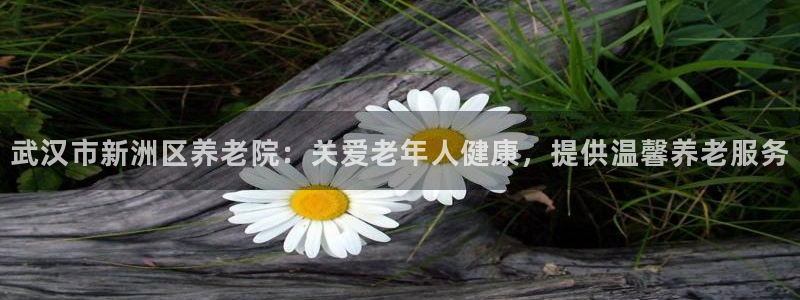 韦德官方网址