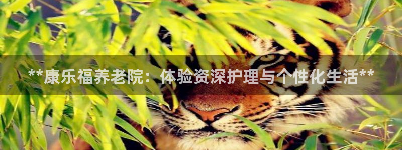 韦德2014