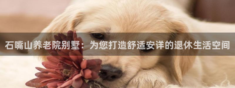 韦德bietview官网