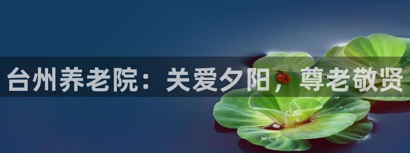 韦德1946中文官网