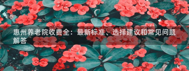 韦德1946官方
