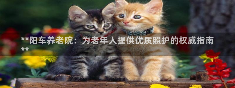韦德1946官方