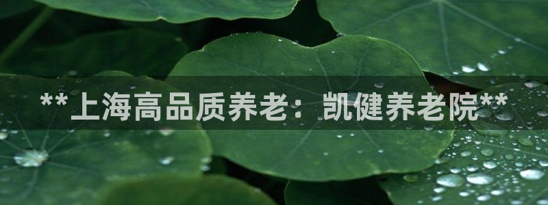 韦德下载