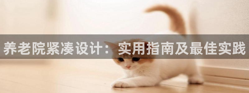 韦德2016