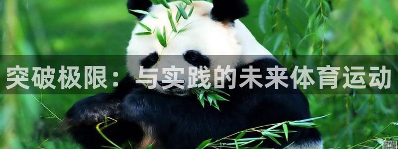 678体育官网地址：突破极限：与实践的未来体育运动