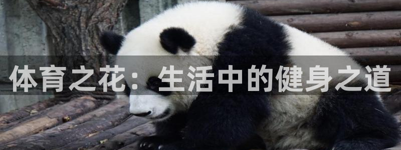 678体育app