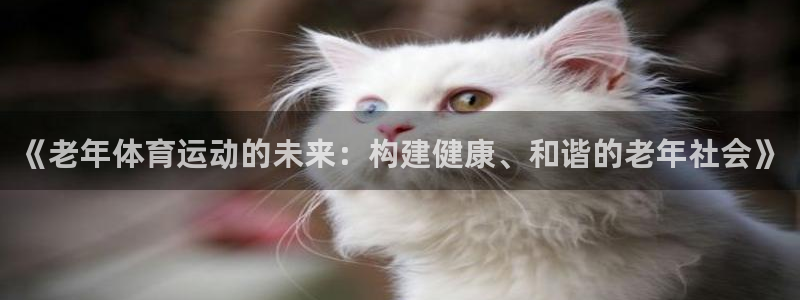 678体育