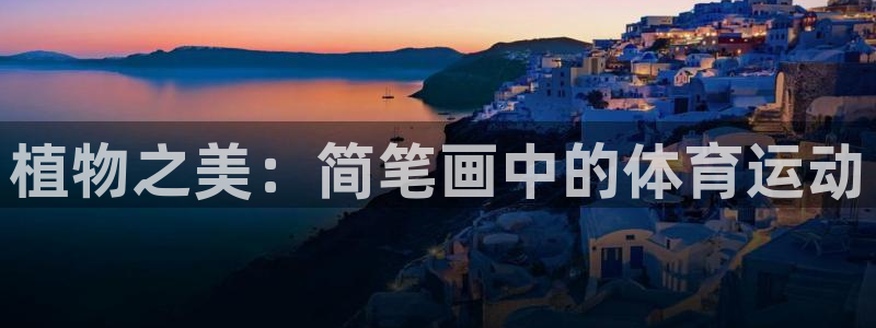 678体育