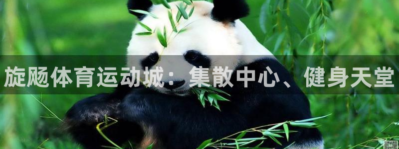 678体育官网下载