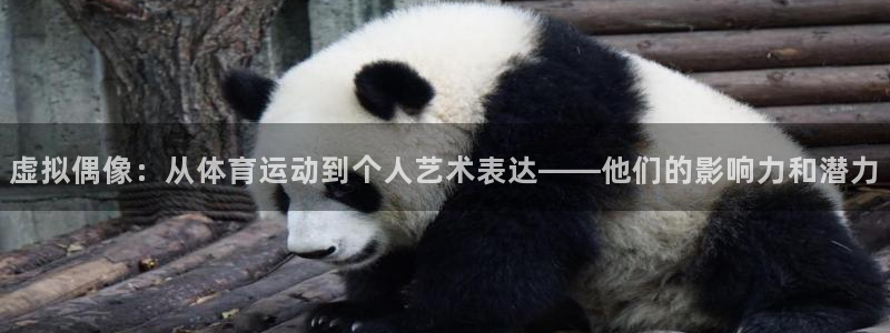 678体育官网地址