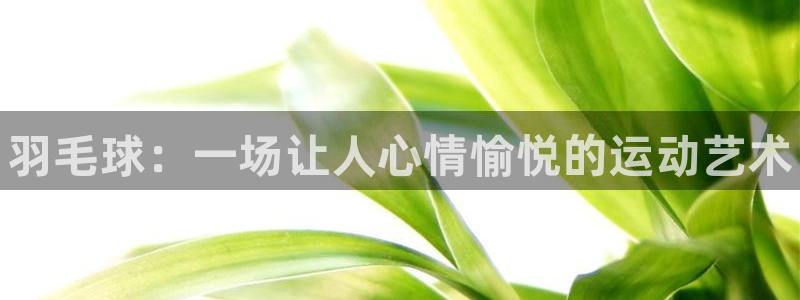 678体育官网地址