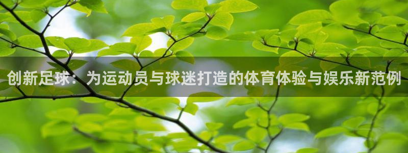 678体育app