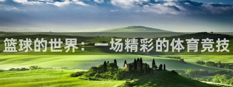 678体育官网下载