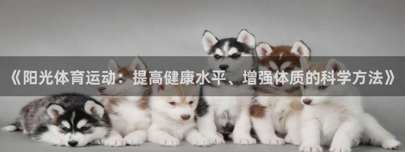 678体育app